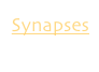 Synapses